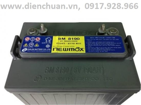 Ắc quy xe điện xe golf 8V 190Ah Newmax BM 8190