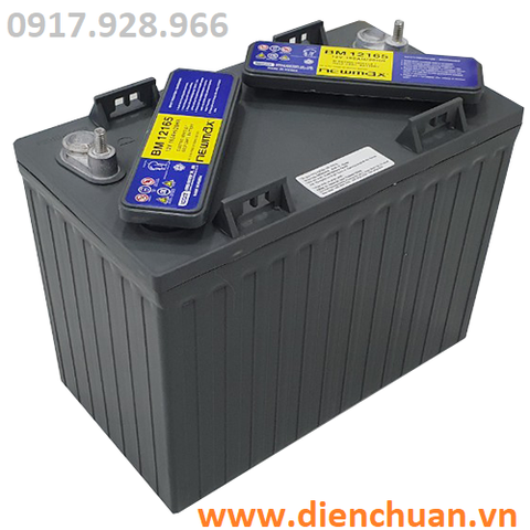 Ắc quy xe điện- xe golf Newmax BM 12165 (12V 165ah)