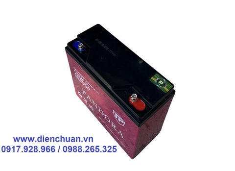 Ắc quy xe đạp điện PANDORA 12V-22.6Ah 6-DZF-22.6 ( Model 30A)