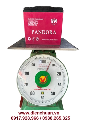 Ắc quy xe đạp điện PANDORA 12V-22.6Ah 6-DZF-22.6 ( Model 30A)