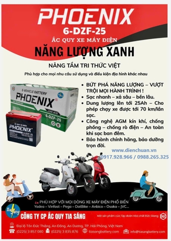 Ắc quy Phoenix 12V-25Ah 6-DZF-25 ( Ắc quy xe đạp điện- loa kéo - thắp sáng- UPS, hãng Phoenix 6-DZF-25/ 25Ah)