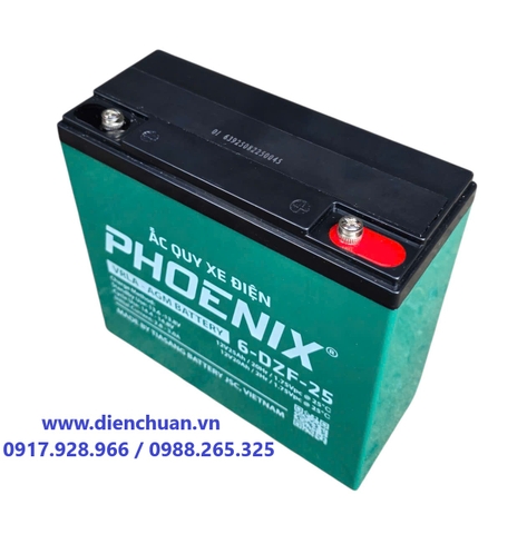 Ắc quy Phoenix 12V-25Ah 6-DZF-25 ( Ắc quy xe đạp điện- loa kéo - thắp sáng- UPS, hãng Phoenix 6-DZF-25/ 25Ah)