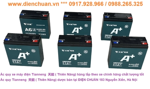 Ắc quy Tianneng 72V-20ah - Set of 6 Tianneng  天能 (Thien Nang) 72V 20Ah batteries