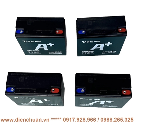 Bộ 4 bình ắc quy xe máy điện Thiên Năng (TIANNENG) 48V 20.3AH