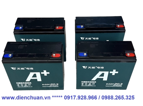 Bộ 4 bình ắc quy xe máy điện Thiên Năng (TIANNENG) 48V 20.3AH