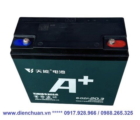Bộ 4 bình ắc quy xe máy điện Thiên Năng (TIANNENG) 48V 20.3AH