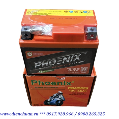 Ắc quy Phoenix TSM1250S ( 12V4.5Ah) dùng cho Ắc quy xe máy Wave Cuxi, Exciter, Future, Lexam, Mio, Nouvo, Nozza, SNA Phoenix