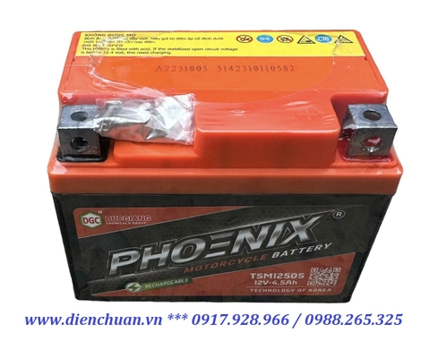 Ắc quy Phoenix TSM1250S ( 12V4.5Ah) dùng cho Ắc quy xe máy Wave Cuxi, Exciter, Future, Lexam, Mio, Nouvo, Nozza, SNA Phoenix