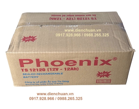 Ắc quy xe đạp điện Phoenix 12V-12Ah TS12120 12Ah-12V