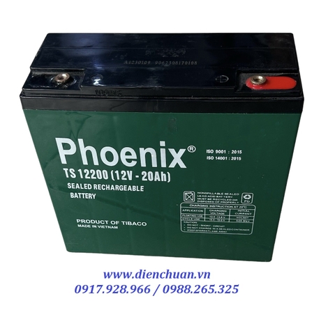 Ắc quy Phoenix TS12200 (12V 20Ah)