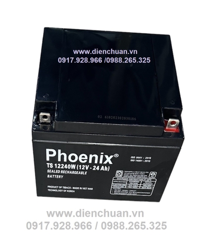 Bình Ắc quy Phoenix 12V-24Ah TS12240W