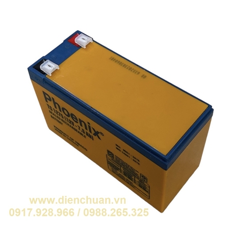 Ắc quy Phoenix 12V 7.5Ah TS1275