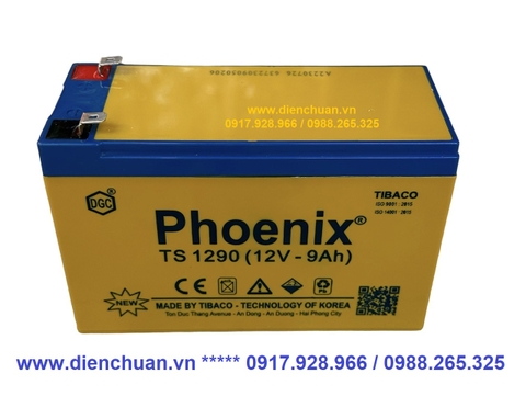 Bình ắc quy Phoenix 12V-9Ah TS 1290