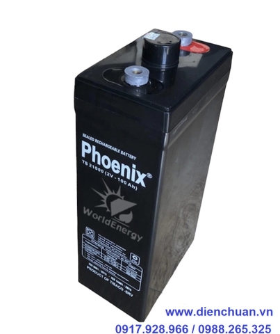 Ắc quy Phoenix 2V-100Ah TS21000