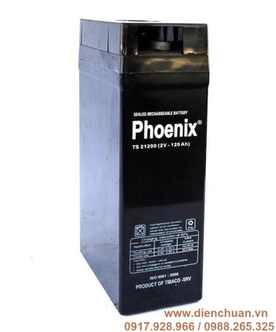 Ắc quy Phoenix 2V-120Ah TS21200