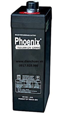 Ắc quy Phoenix 2V-120Ah TS21200