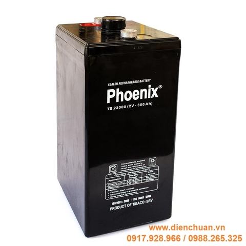 Ắc quy Phoenix 2V 300Ah TS23000