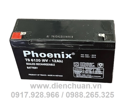 BÌNH ẮC QUY PHOENIX 6V 12AH (TS6120)