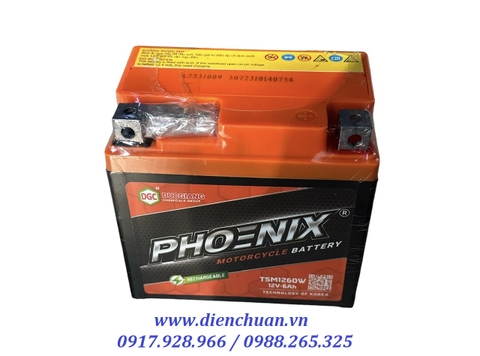 Ắc quy xe máy Honda Lead, Vision, SH125/150cc,SH Mode, PCX,  Air blade Phoenix TSM 1260W (12V 6.0Ah)