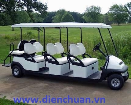 Ắc quy xe điện xe golf 8V 190Ah Newmax BM 8190