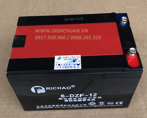 Ắc quy xe đạp điện Richao 6-DZF-12 (12V-12Ah)