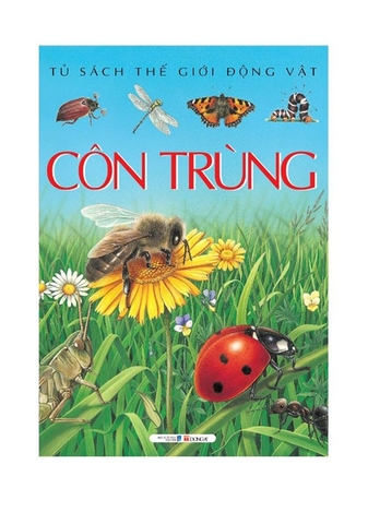 Ts Thế Giới Động Vật : Côn Trùng