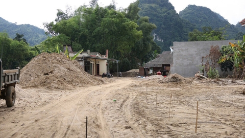 Cát vàng trên vườn, chum vàng dưới đất: Sao chủ nhà cứ mãi đứng nhìn?