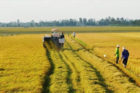 Chuyển đổi đất nông nghiệp sang thổ cư phải đóng những loại tiền gì