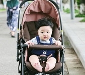 Đưa bé đi dạo bằng phương tiện gì?