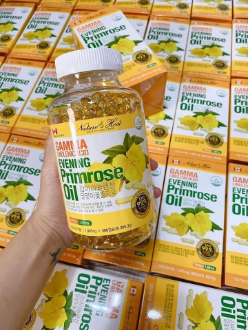 Tinh dầu hoa anh thảo – Natural Plus Gamma Linolenic Acid Evening Primrose Oil Capsule 240mg
