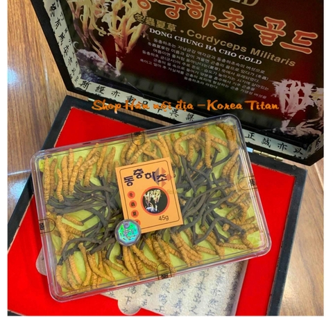 Đông trùng hạ thảo nguyên con Gold - hộp 45g Cordyceps Militaris