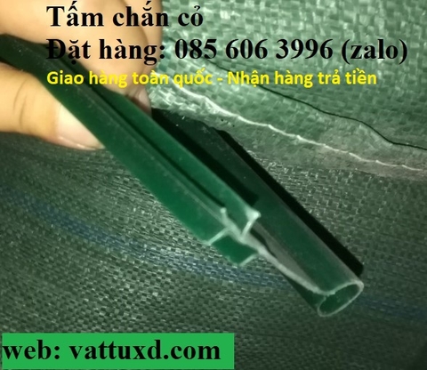 Tấm chắn cỏ - Nghệ thuật tạo hình trong cảnh quan sân vườn