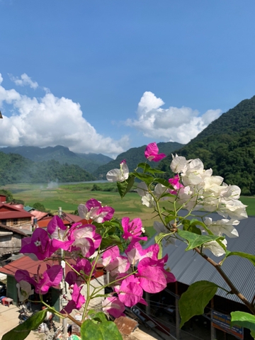 Hình ảnh chung của Homestay