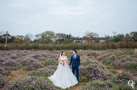 Chụp ảnh cưới đẹp ở Thảo nguyên Hoa Hà Nội: cặp Quang - Vân