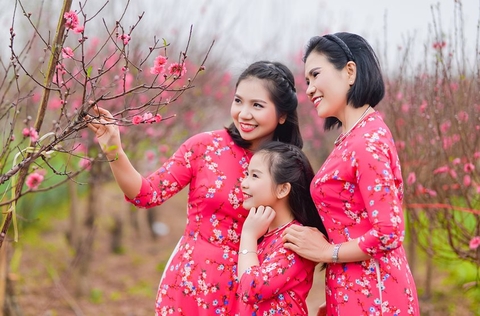 Chụp ảnh hoa đào Tết tại vườn Nhật Tân: gia đình chị Hà