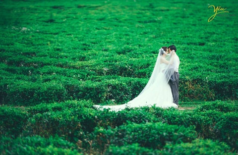 Chụp ảnh cưới ở đồi chè: cặp đôi Dương & Thảo