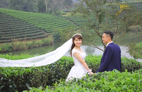 Chụp ảnh cưới đẹp tại đồi chè thơ mộng Thanh Chương, Nghệ An
