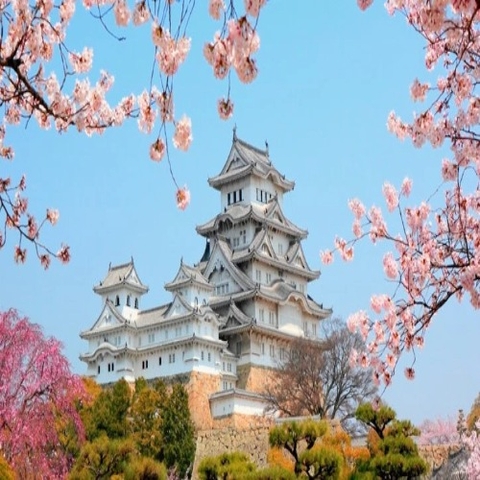Tour Nhật Bản 6N5Đ: Osaka - Nara - Núi Phú Sĩ - Tokyo | Vietnam Airlines