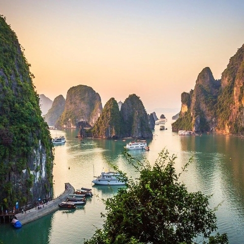 Tour Hạ Long 2 Ngày 1 Đêm - Ngủ Đêm Du Thuyền Cozy Bay