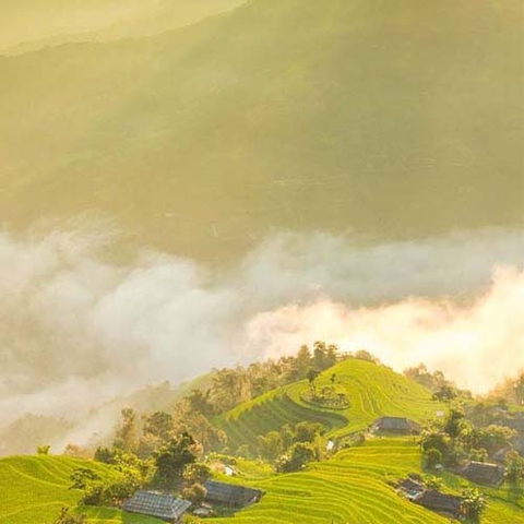 TOUR MÙ CANG CHẢI 2 NGÀY GIÁ RẺ: HÀ NỘI - MÙ CANG CHẢI - TÚ LỆ