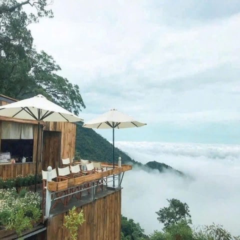 Tour Tam Đảo 1 Ngày Khởi Hành Từ Hà Nội