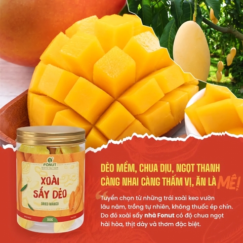 Xoài muối ớt sấy dẻo ( hũ 300gr )