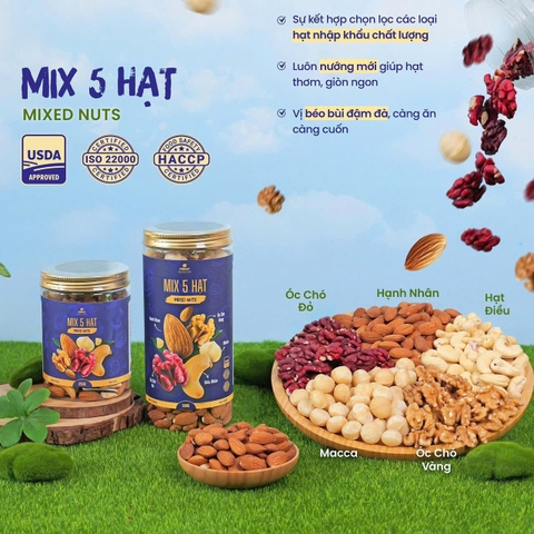 Mixed nuts 5 loại hạt dinh dưỡng Macca, Óc Chó Vàng, Óc Chó Đỏ, Hạt Điều, Hạnh Nhân hộp 500gr