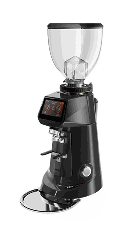 Máy Xay Cafe  Fiorenzato F64 EVO Adapt