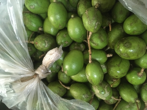 Cóc thái không hạt - 1KG