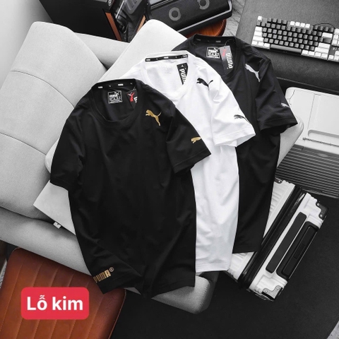 Áo thun thể thao puma cho Nam mẫu mới 2025