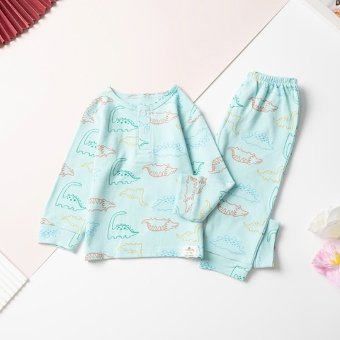 H580 Bộ cotton trẻ em - bé trai ĐB008 9/36 (Ri5) sơ sinh