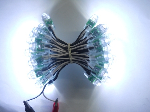 led 8ly đơn sắc