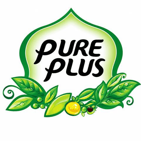 Pure Plus Co., Ltd.: Giải Pháp Đồ Uống Hàn Quốc Đáng Tin Cậy