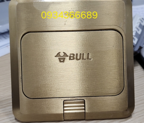 Ổ cắm điện âm sàn Bull - GD1Z225
